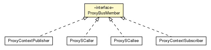 Package class diagram package ProxyBusMember